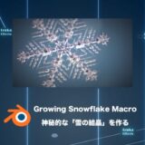 Growing Snowflake Macro – 雪の結晶を作るアドオン！アニメーション対応【Blenderレビュー】
